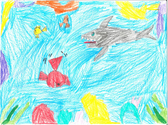 A childs drawing of a shark chasing three colorful fish underwater, with plants and rocks at the bottom, all illustrated in crayon.